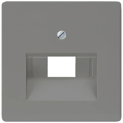 Grey wall lamp with a rectangular cutout in the centre. A central screw at the top. Functional for lighting.