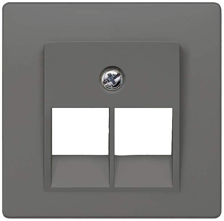 A grey, blank network wall plate with two ports and a central screw for mounting.