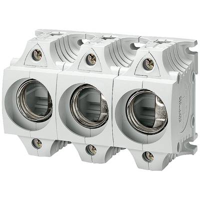 Three-pole fuse holder made of white plastic, suitable for fuses, usable in electrical circuits for protection.
