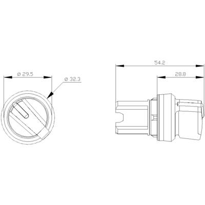 Technical drawing of a round component with side and top view. Dimensions: Diameter 29.5 mm and 32.3 mm, Length 54.2 mm and 28.8 mm.