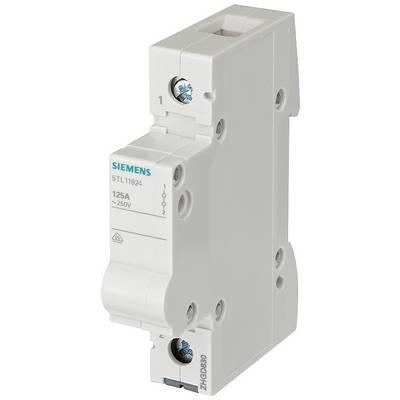 A Siemens circuit breaker, Type 5TL11924, 125A, 250V, with a white housing and screw terminals, pictured from the front.