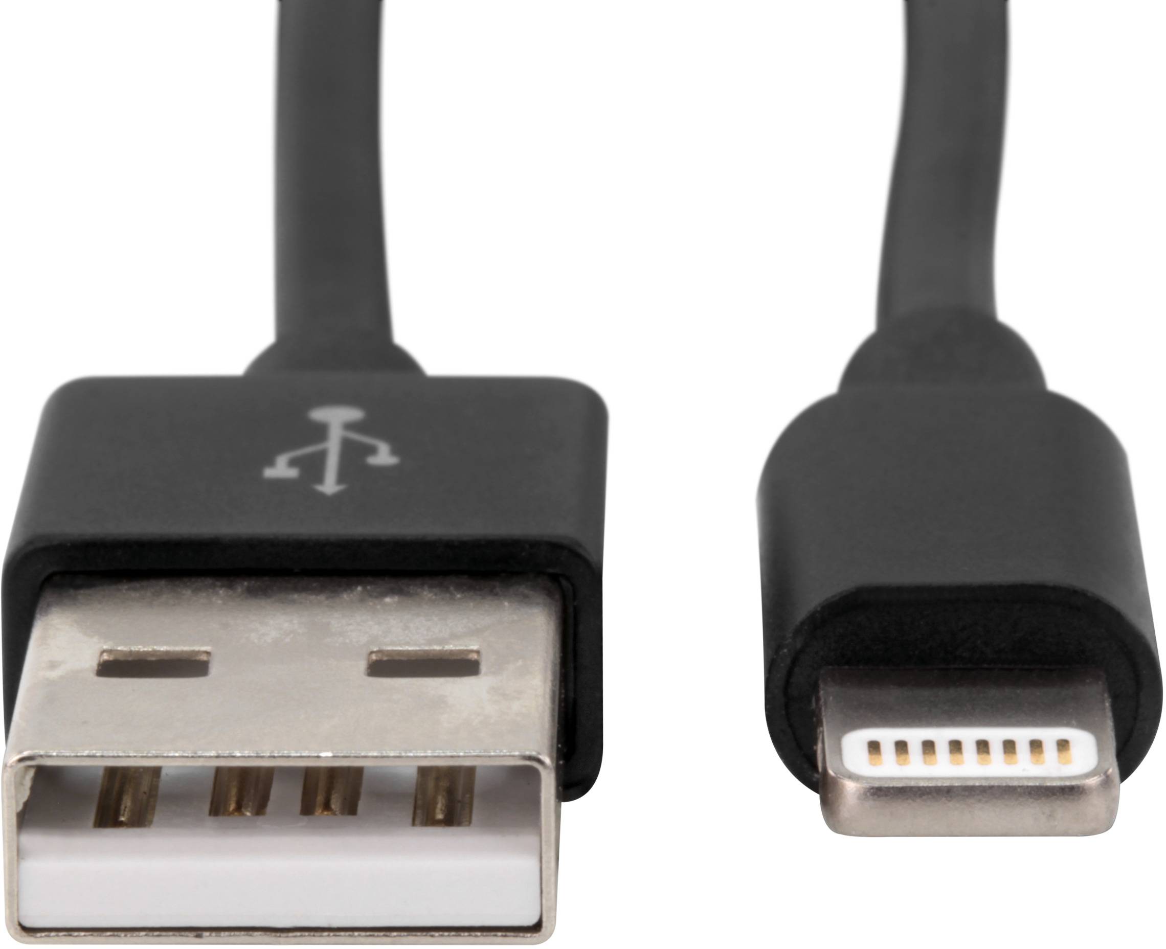 Two cable connections: A USB-A port on the left side and a Lightning port on the right side. Both are black.