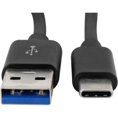 Two USB plugs: on the left a USB-A plug with a blue strip, on the right a USB-C plug. Both black with short cables.