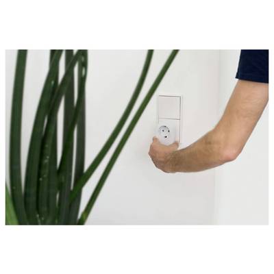 Person plugging a device into a wall outlet beside green plant leaves<br>