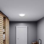 INTERIOR LIGHT RS 16 LED S GLASS