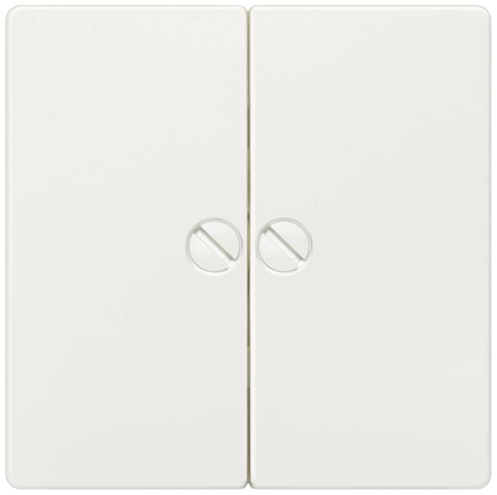 Double light switch with white casing, both switches in the off position.