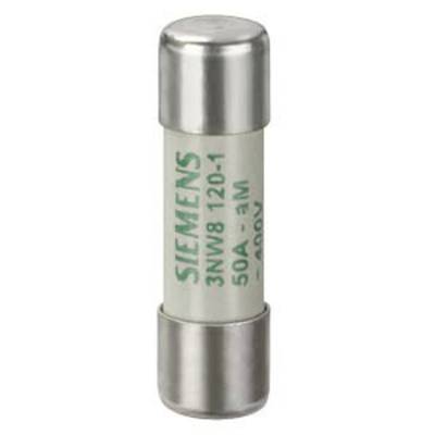 Siemens fuse, 50A, 400V, marked '3NW8 120-1', cylindrical shape with metal end caps.