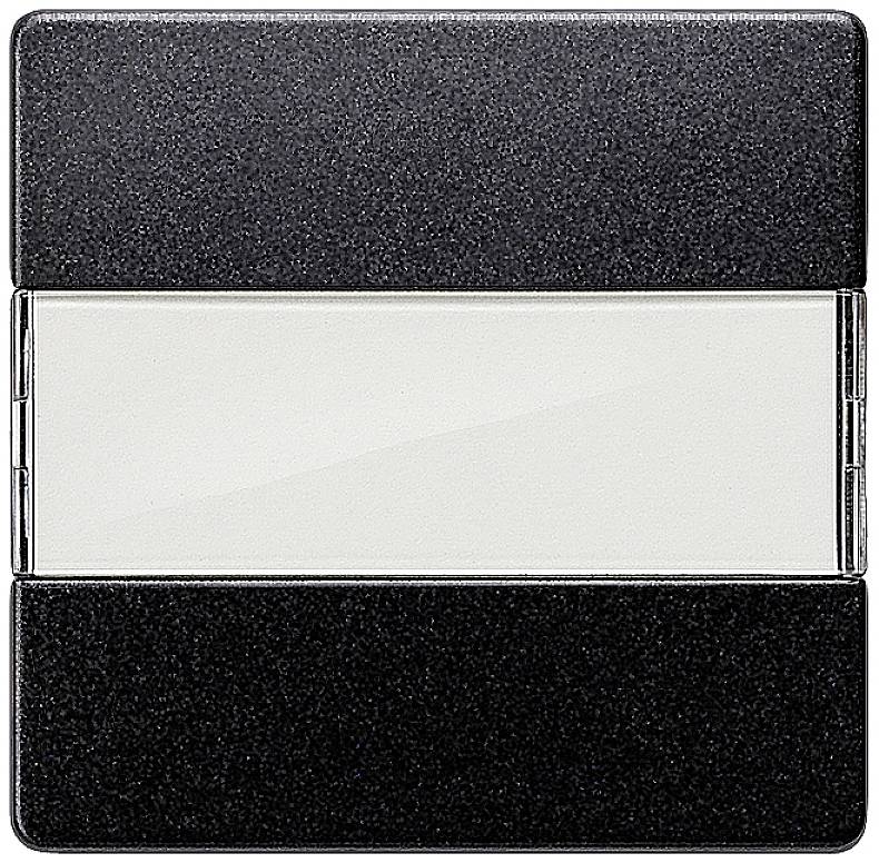 Black light switch with a central white field, rectangular, without visible labels or symbols.