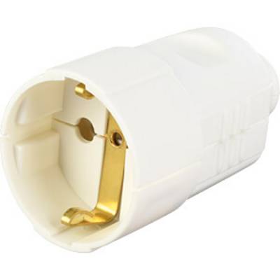 A white electrical plug connection with gold-coloured metal contacts, shown in a close-up view.