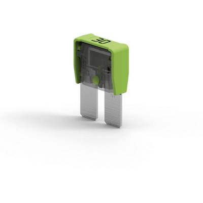 Green flat fuse marked '30'.
