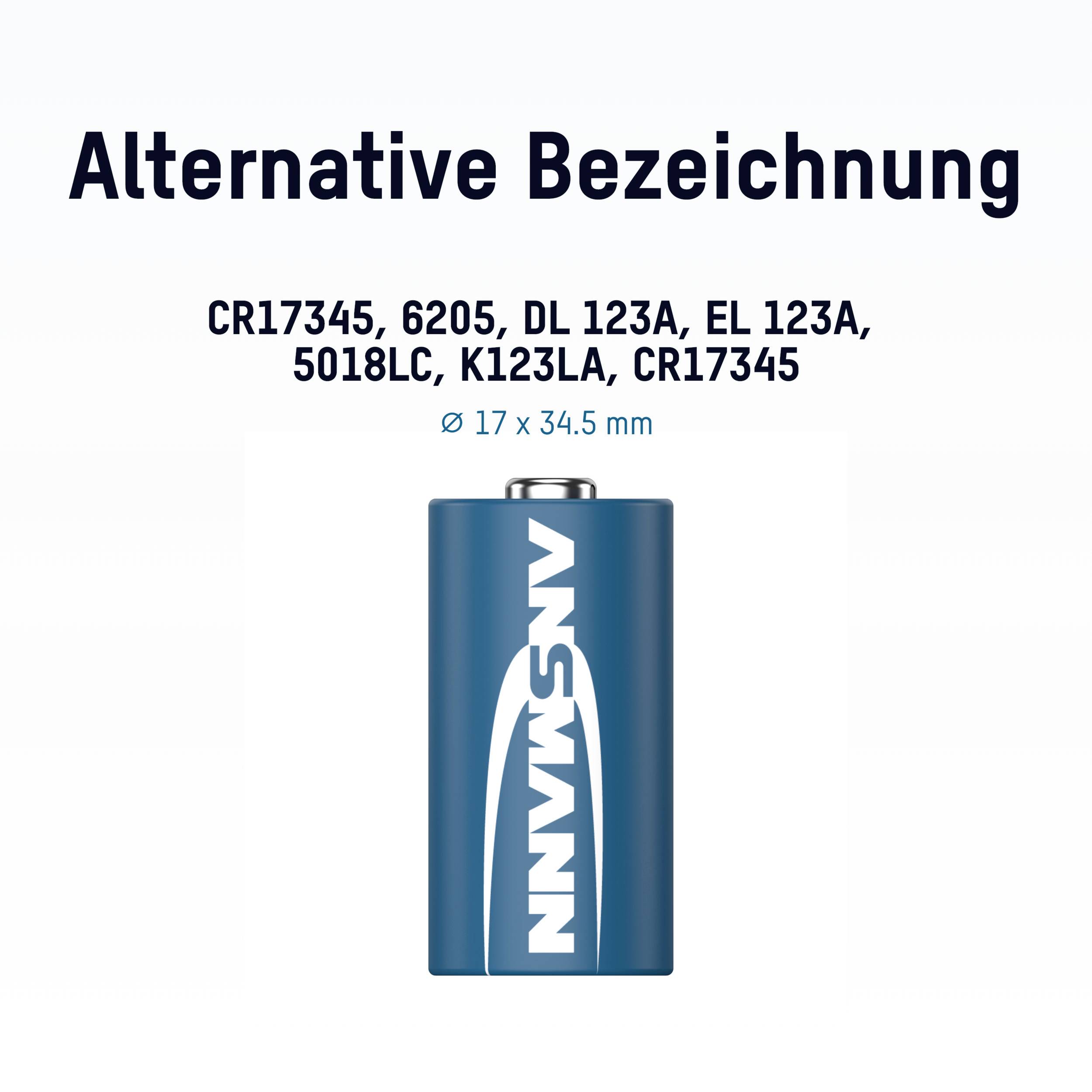 The graphic shows a battery with the inscription 'ANS MANN'. At the top, it reads 'Alternative Designation' with various battery types.