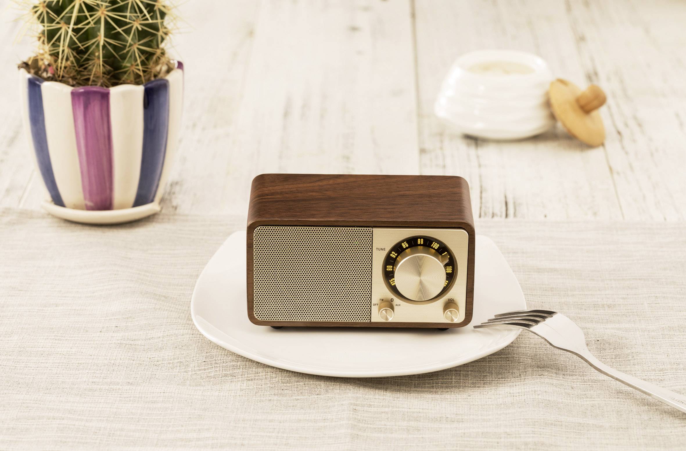 A small vintage radio sits on a white plate next to a cactus in a striped plant pot on a wooden table.