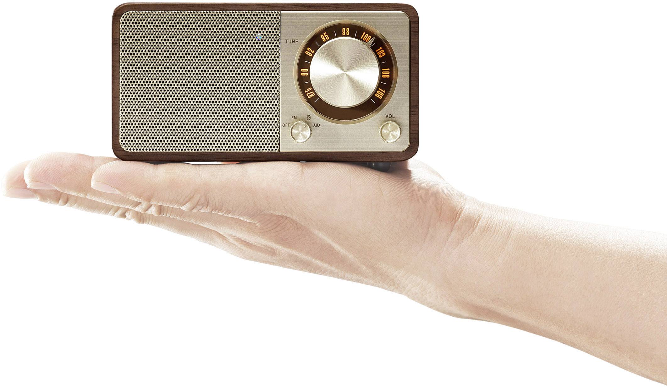 A hand is holding a small, vintage radio with a round volume dial and a frequency display, encased in a wooden body.