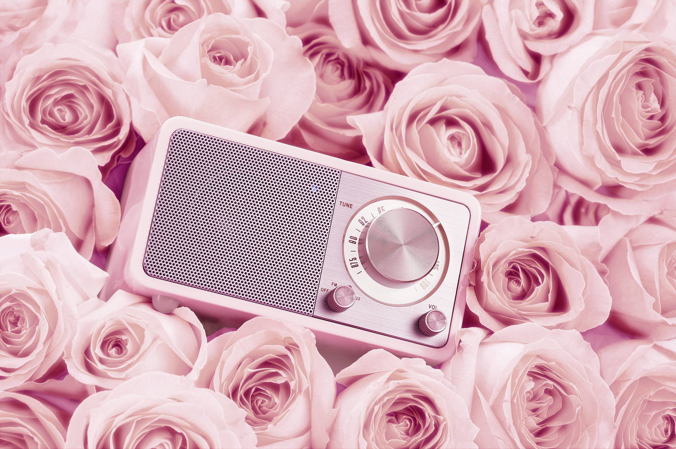A pink radio lies on a bed of pink roses, with the radio prominently centred in the foreground.