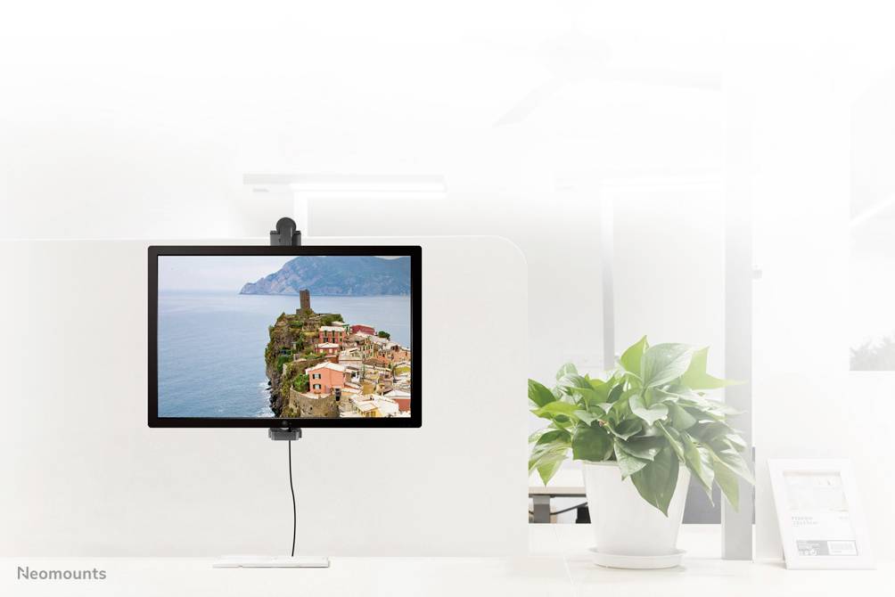A monitor displays a coastal scene with houses. It sits on a desk next to a green plant in a modern office.