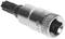 A silver bit adaptor for a ratchet with a Torx connection, suitable for screw-related work.