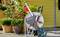 A portable garden hose reel with a handle and wheels is positioned on a brick patio near vibrant potted plants against a yellow wall.