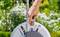 A hand attaches a garden hose to a reel in a lush garden, surrounded by blooming white flowers and greenery, suggesting garden maintenance.