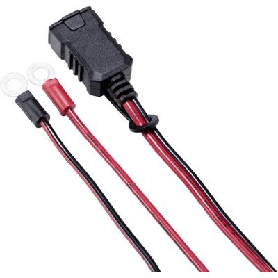 Two-core power cable with fuse holder and ring terminals, suitable for electrical connections and batteries.