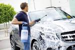 FoamMaster FM 30 - 3 l foam sprayer/foamer/pressure sprayer for car cleaning