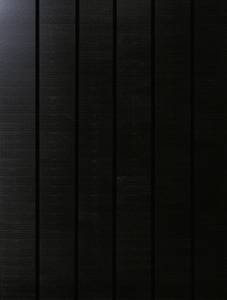 Phaesun Sun Pearl 150 Monocrystalline solar panel 150 Wp 12 V