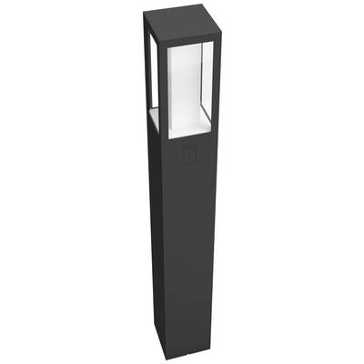 A black, rectangular outdoor light with a transparent upper section for symmetrical light distribution.