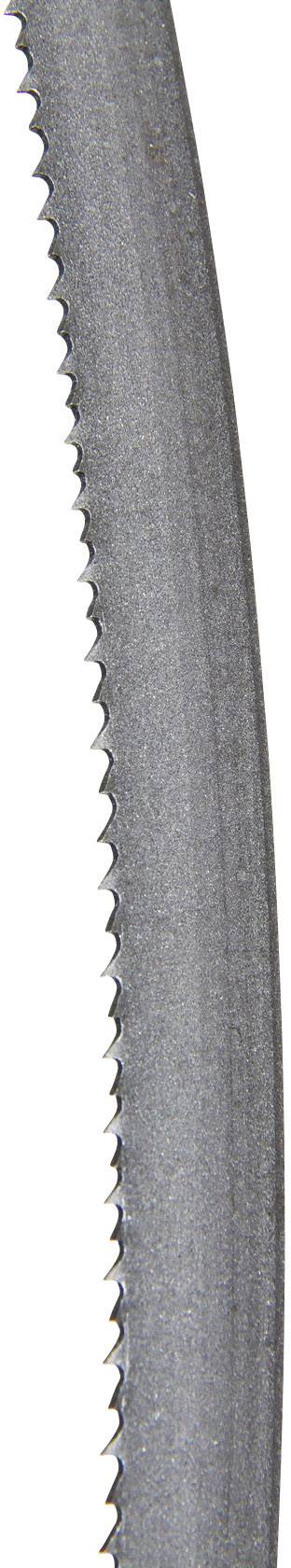 Close-up of a toothed bandsaw blade, showing its serrated edge and curved shape.
