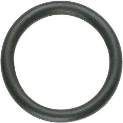 A black rubber O-ring.