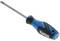Blue and black screwdriver with an ergonomic handle and a Torx tip.