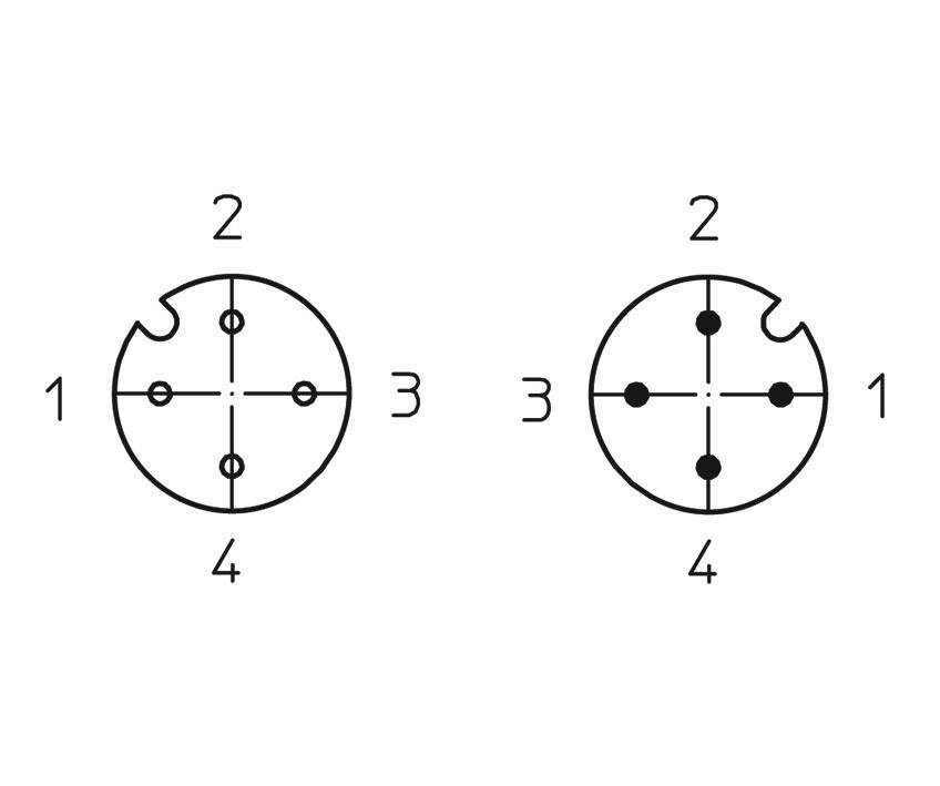 'Two round electrical plug diagrams with numbers 1 to 4. The left plug has a notch at the top left, the right plug at the top right.'