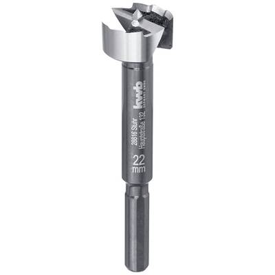 A silver Forstner drill bit with the inscription '2006 Sturr' and a diameter of 22 mm. Used for precise wood drilling.