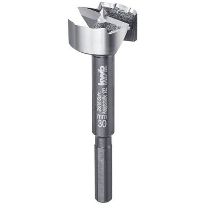 Metal drill bit with a cylindrical shank and sharp point, suitable for drilling into wood or metal. Used for precise holes.