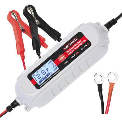 Buy Dino KRAFTPAKET 136308 Compressor 10.3 bar 12V cable adapter, Digital  display, Cable tidy, incl. inspection ligh