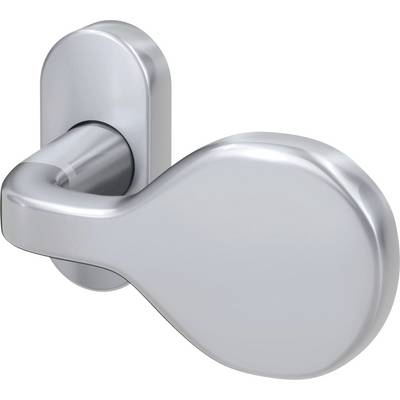 Shining metallic door handle in an oval shape with rounded edges.