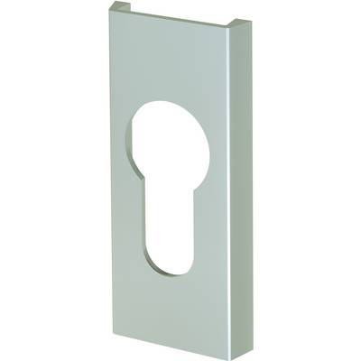 Abstract shape of a keyhole in a rectangular, silver-coloured metal frame.