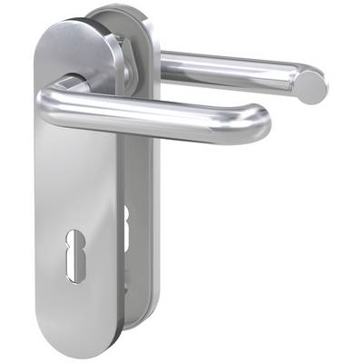 A silver door handle with a lock opening, mounted on a rectangular metal plate.