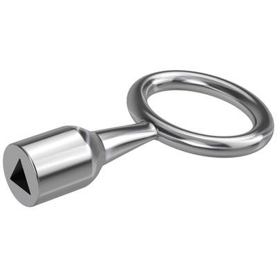 A silver metal anchor bolt with a circular ring and triangular point, commonly used for securing or fixing in construction projects.