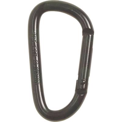 A black metal carabiner.