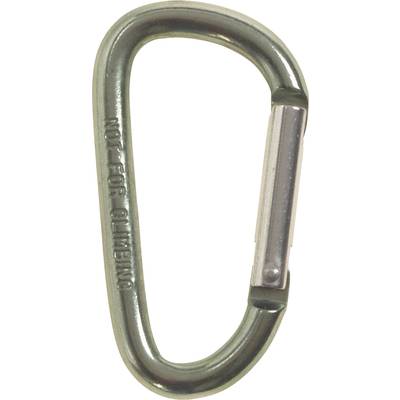 A silver carabiner with the engraving 'NOT FOR CLIMBING', unsuitable for climbing, indicates a safety warning.