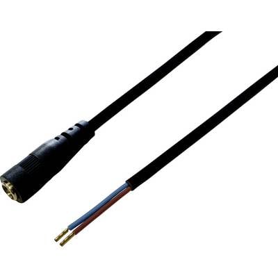 A black cable with a socket on one side and three stripped wires (blue, brown, black) on the other side.