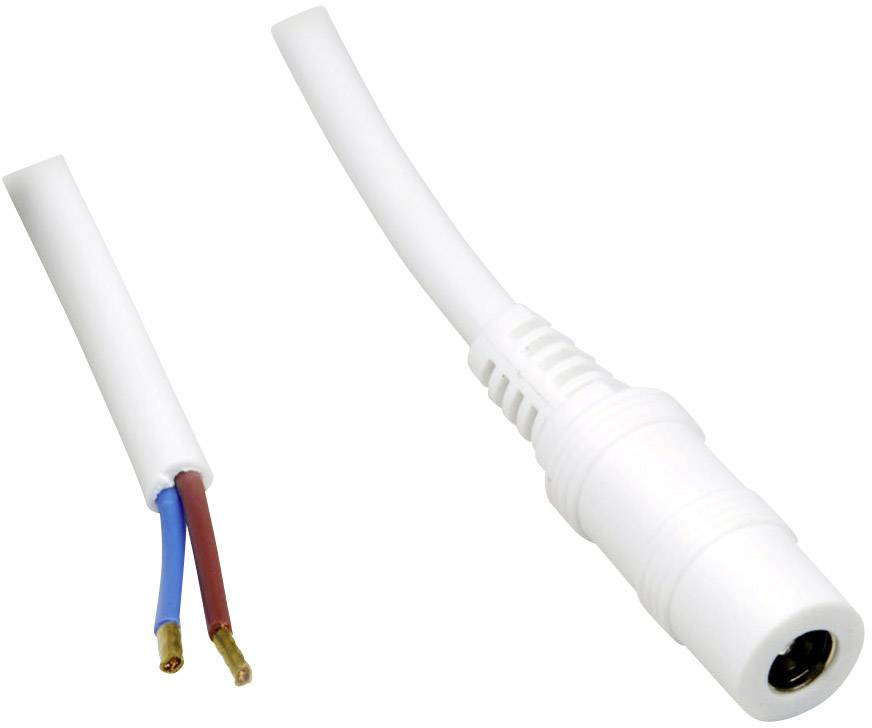 'A white, two-pole cable with exposed cores on the left side and a DC plug on the right side.'