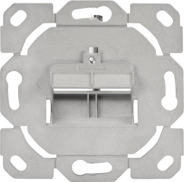 Digitus Network outlet Recess-mount, Module, Flush mount Insert Unequipped 2 ports