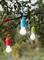 Three hanging light bulbs in colourful casings (blue, green, red) on a branch outdoors, surrounded by green leaves.