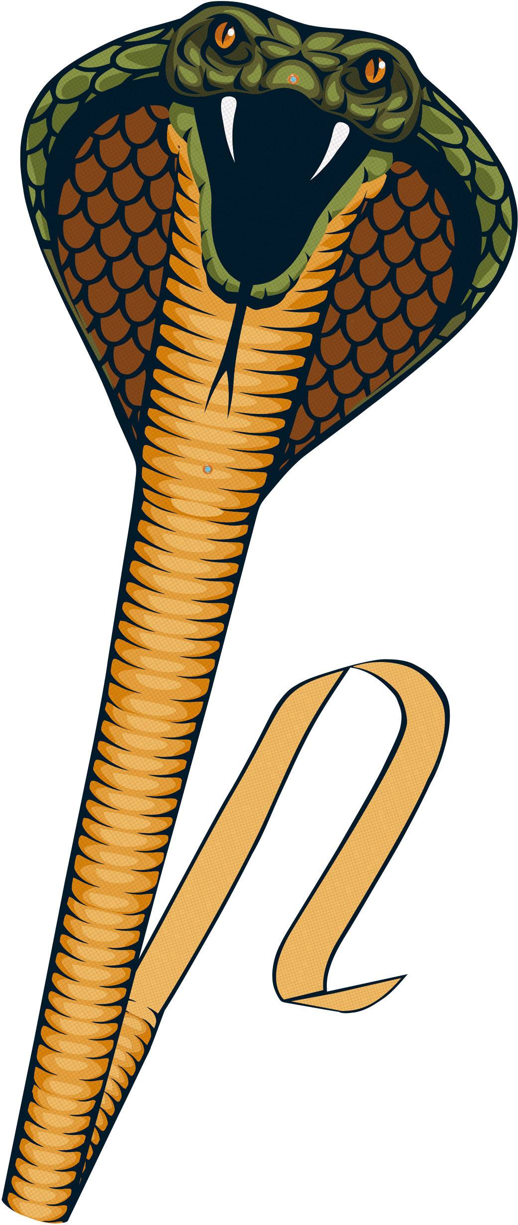 Image of Guenther Flugspiele Single line Kite Cobra Wingspan (details) 690 mm Wind speed range 3 - 5 bft