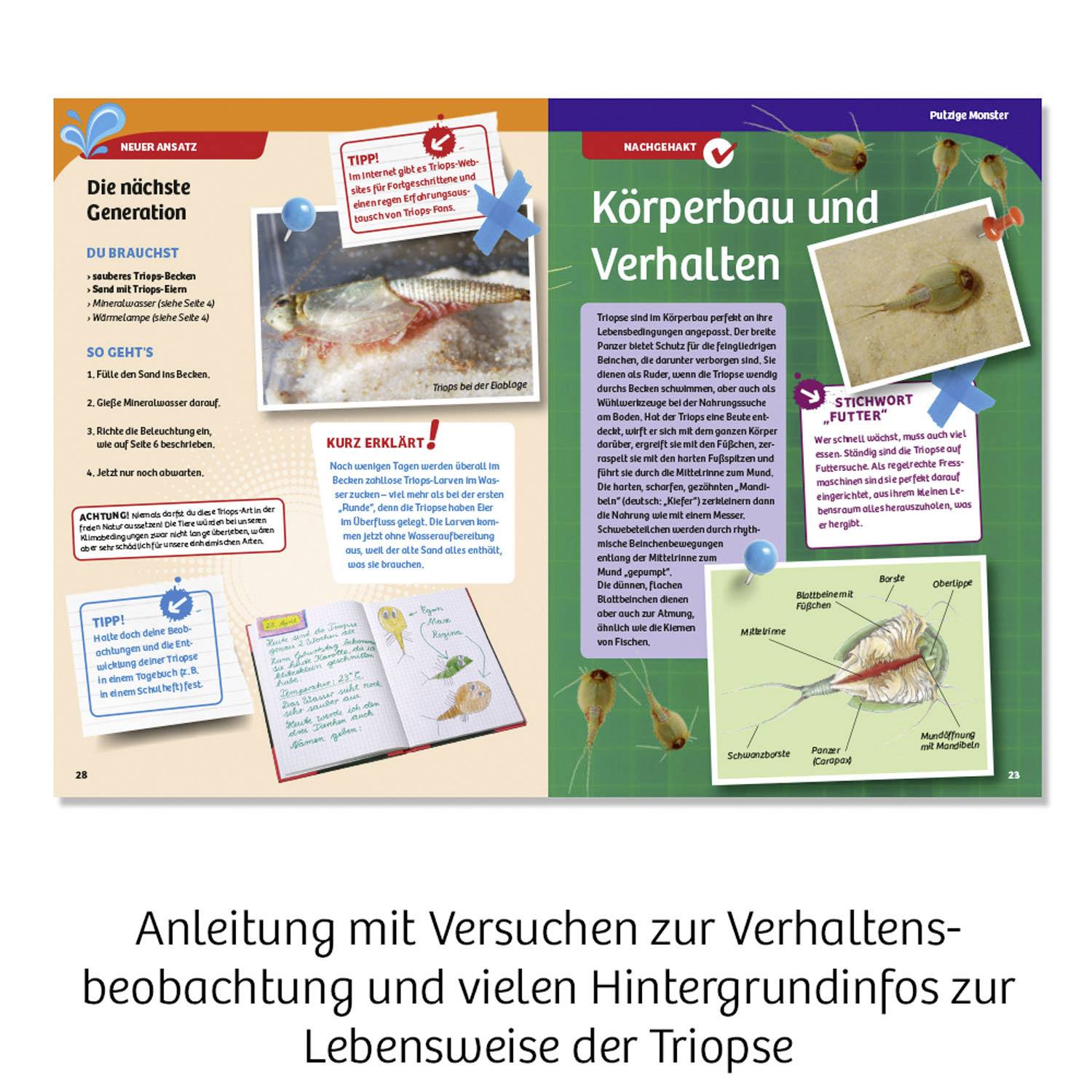 'Guide with Experiments for Observing Behaviour and Detailed Background Information on the Lifestyle of Triops' shows an open book with colour pages, images, and texts about Triops.