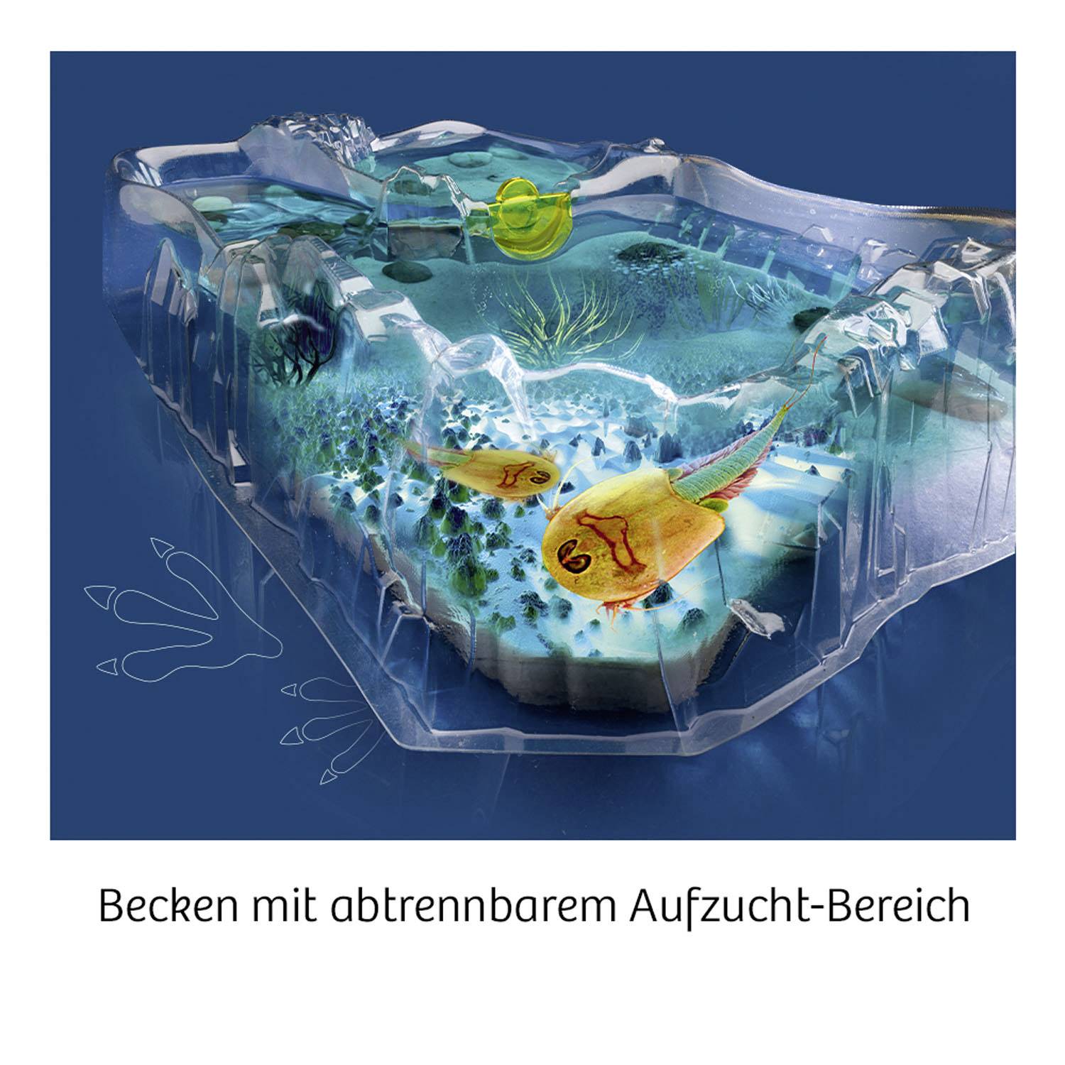 Kosmos 633097 Triops züchten Triops Growing & Nature Science kit (set) 8 years and over-3