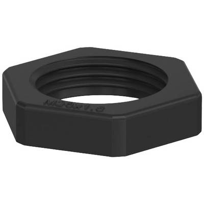 Black metal hexagonal nut, M36x1.5, with visible internal thread; resting on a white background.