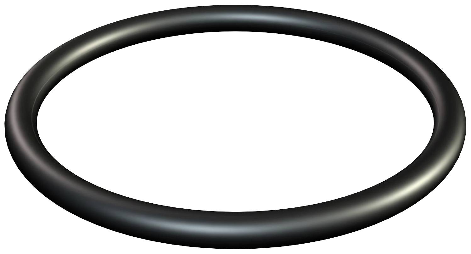 A black, round O-ring on a white background, similar to a rubber sealing ring.