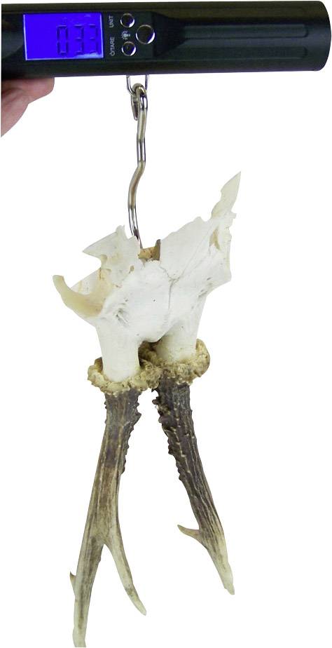 A digital hanging scale shows a weight of 333 grams and is weighing a pair of deer antlers.