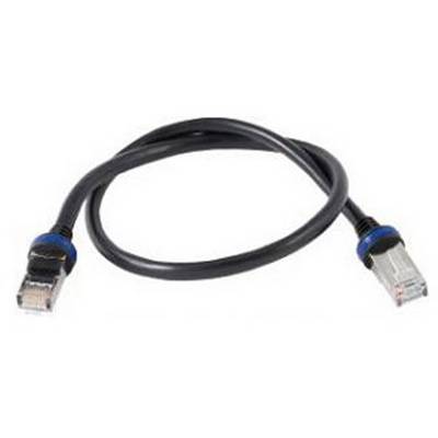 A black Ethernet cable with two blue connectors, used for network connections, lies in a loop shape.